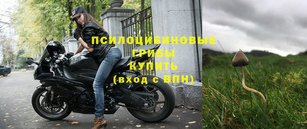 спиды Кукмор