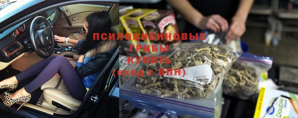 спиды Кукмор