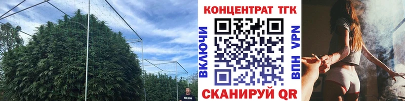 наркота  Гдов  Дистиллят ТГК концентрат 