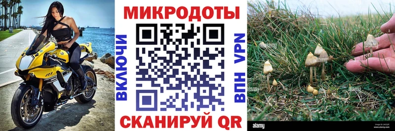 наркота  Гдов  Псилоцибиновые грибы мицелий 
